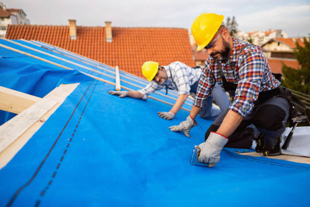 Best Roof Ventilation Installation  in New Franklin, OH